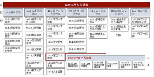 華為人力資源管理體系 驅(qū)動軟件開發(fā)創(chuàng)新與卓越的引擎